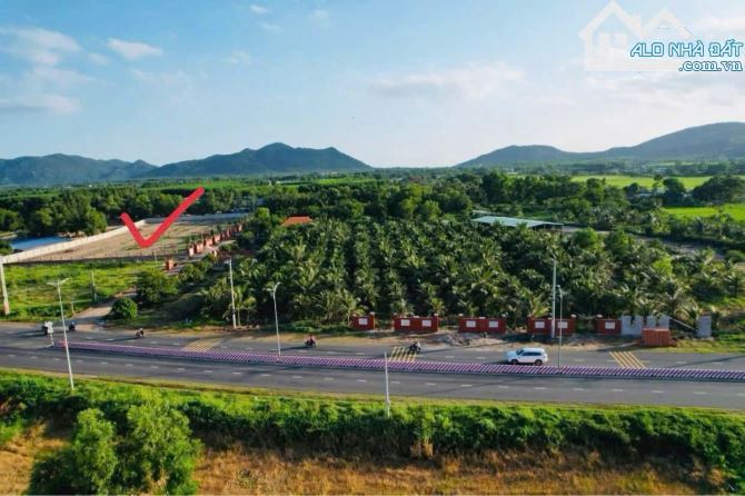 🌿 Đất nền 661m² TT Phước Hải – View đẹp, rào cổng kiên cố, cách biển 5km, chỉ 2.58 tỷ/lô - 1