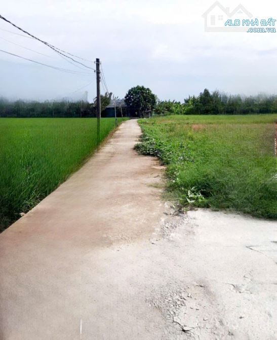 Bán  nhanh lô đất Long Hoà _ Cần Đước _ Long An 130m2 Full thổ giá 1 tỷ 050 triệu, SHR - 1