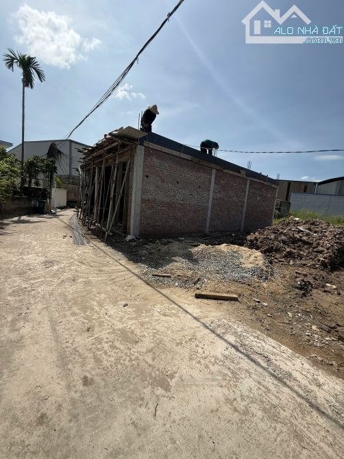 Ms Linh-Bán đất 50m2 ngay tuyến 2 trục chính Cống Mỹ, Nam Sơn, An Dương giá chì hơn 900tr - 1