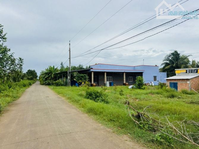 Đất lập vườn sẵn 1000m2 (370tr), cách TP. HCM 39km - 1