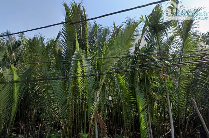 🌿 ĐẤT VIEW DỪA – GẦN PHỐ CỔ HỘI AN – 570M² - GIÁ CHỈ 9,35 TỶ 🌿 - 1