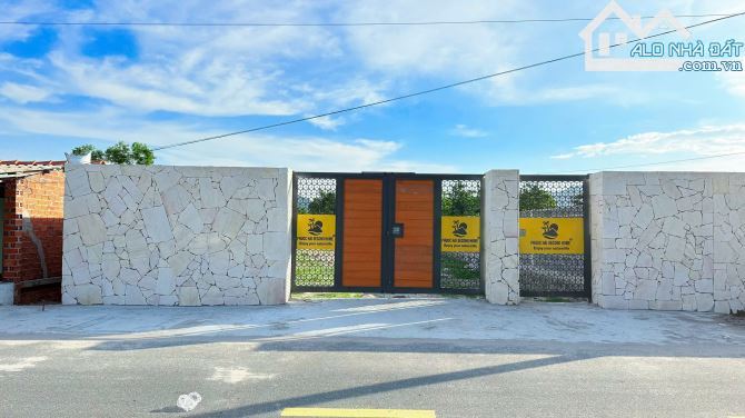 🏠✨ Cần bán 2 lô liền kề đối diện Trường Tiểu học Long Mỹ, Phước Hải – 10x33m, 332,6m², 80 - 1