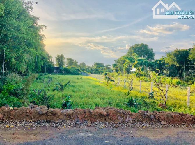 🏡 Đất 1050m² Phước Hải, thổ cư 60m², cách tỉnh lộ 44B 80m, sổ sẵn, giá chỉ 3.3 tỷ 💰 - 1