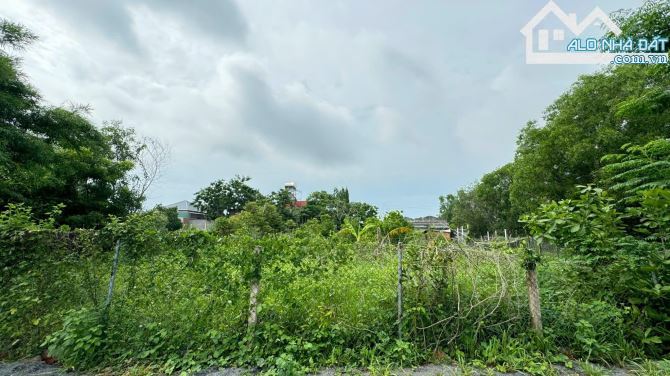 🏞️ BRVT Phước Hội 2588m², cách biển 3km, đất ở 100m², giá chỉ 1.3 tỷ/sào, đầu tư siêu - 1