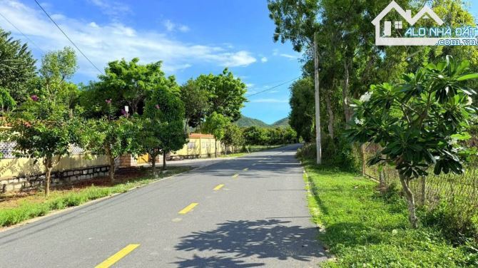 🏡 Phước Hải gần biển, đất 1170m² hướng Đông Nam, đường nhựa, giá 3.5 tỷ, tăng giá tốt - 1