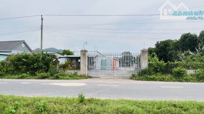 🌅 Bán Đất Nghỉ Dưỡng Long Mỹ - TT Phước Hải BRVT | 910m², View Núi & Hồ Bút Thiền 🌳 - 1