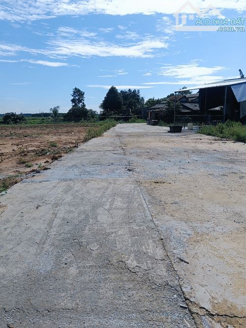 500 mét vuông ngang 20 m có 120 m² đất ở Hòa Vang - 1