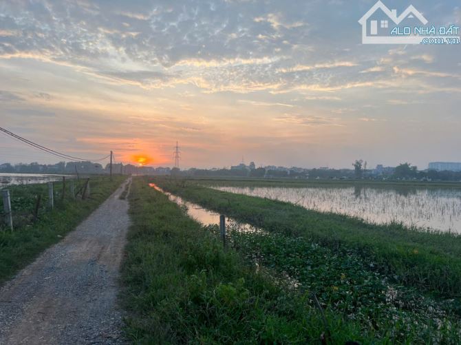 Bán đất nông nghiệp tại Xã Tả Thanh Oai (xã Đại Thanh mới), 896m2 - 1