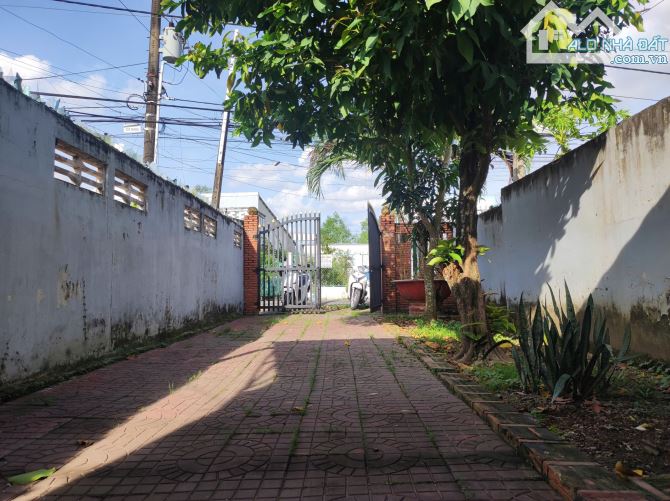 Đất mặt tiền đường huyện 29 gần Lẩu rắn Năm Nghĩa - 1