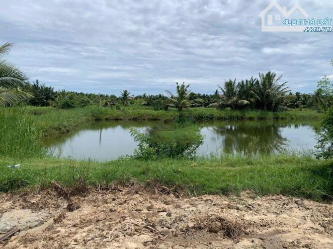 📌📌📌LÀM VIỆC TRỰC TIẾP GIÁ TỐT !!! Bán đất xây villas đường DX18, xã Cẩm Thanh - 1