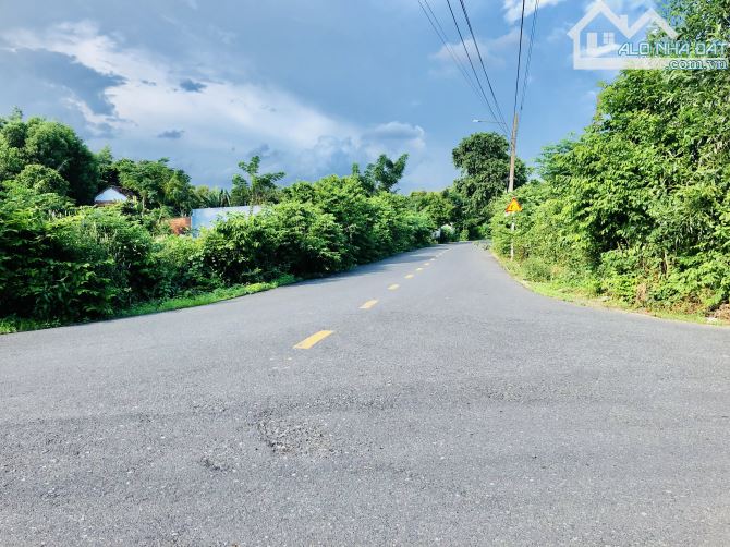 LONG MỸ-PHƯỚC HẢI DT:2322m2-góc 2 mặt tiền nhựa-tổng 88m mặt tiền- phủ hồng sổ sẵn Giá 12t - 1