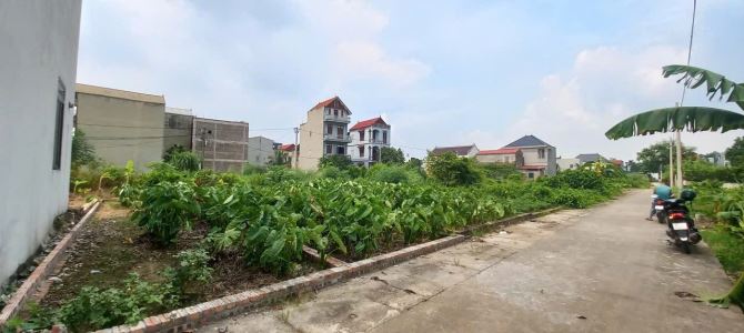 Bán đất Quang Minh Mê Linh hà Nội 50m=2ty430 - 1