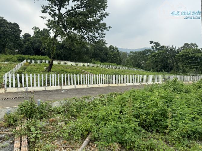 Cần bán đất 317m 1.75tỷ mặt tiền đẹp như Sapa - Liên Sơn, Lương Sơn, Hoà Bình - 3