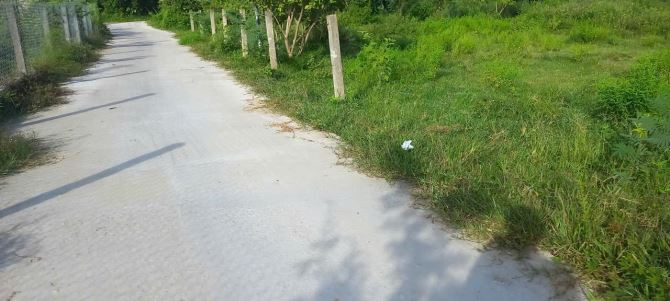 ĐẤT TRANG TRẠI ĐÔNG MINH, ĐÔNG SƠN, THANH HÓA -1,3HA – CHỈ 6 TỶ - 2