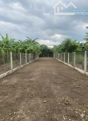 BÁN ĐẤT DIÊN AN CHỈ 10,5TR/M2 RỘNG 254m PHÙ HỢP LÀM NHÀ VƯỜN - 2