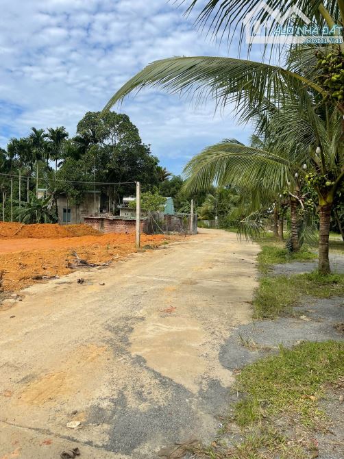 Đất làm farm 3800m2 cây lâu năm, gần đường DT602, gần khu sinh thái - 2