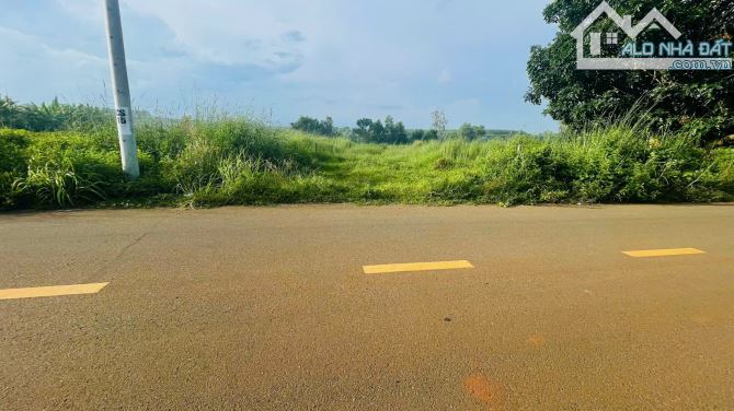 Chủ GỬI BÁN LÔ ĐẤT 647M2 60M TC ĐƯỜNG NHỰA DÂN CƯ TT ĐẤT ĐỎ,GẦN ĐƯỜNG TRÁNH QL55 KCN GIÁ R - 2
