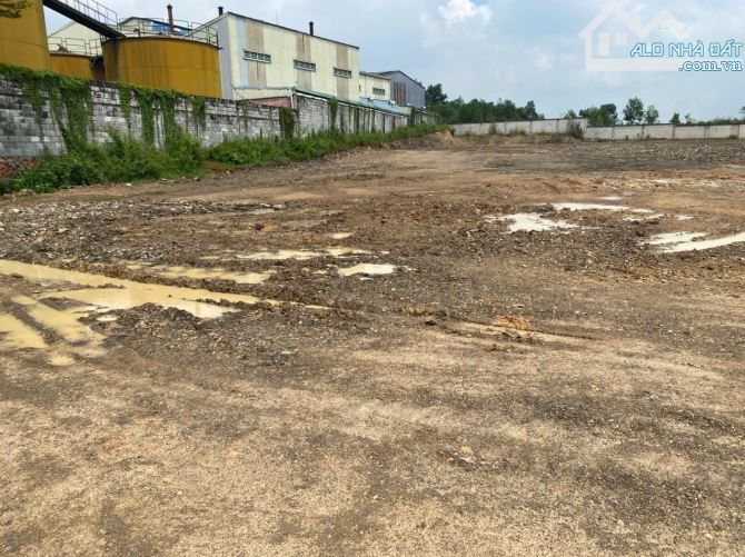 Bán đất xây xưởng Thiện Tân Vĩnh Củu - 2