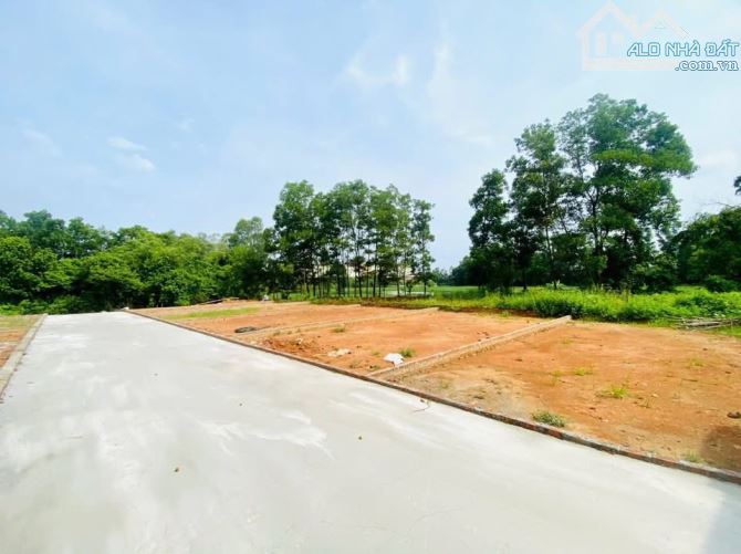 Cực sốc đang cần tiền bán gấp bán gấp dt 80m fun thổ sổ sẫn giao dich dường to rộng viu hồ - 2
