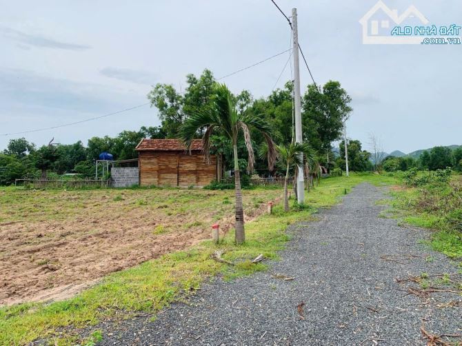 🏡 CHỈ 800 TRIỆU – LÔ ĐẤT ĐẸP GẦN HỒ BÚT THUYỀN, LONG MỸ – ĐẤT ĐỎ, BRVT - 2