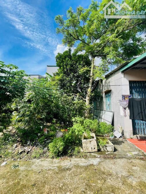 Bán lô đất vũ công đán phường tứ minh gần khu công nghiệp đại an hải dương - 2