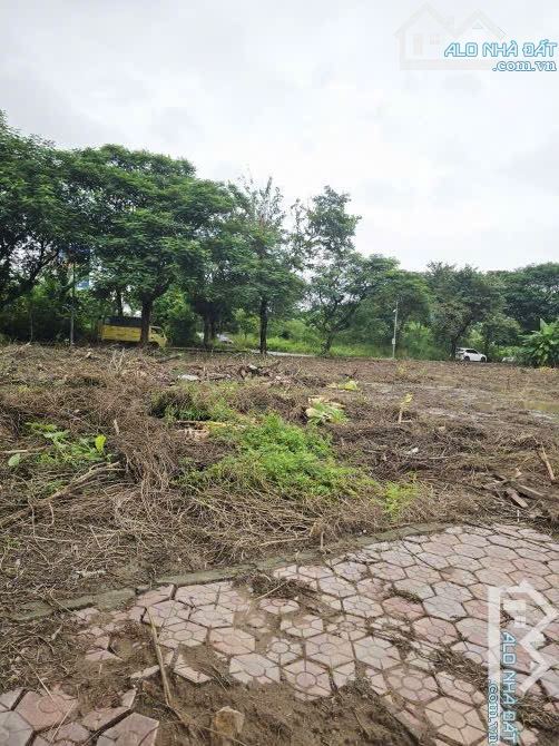 💥 BÁN LÔ ĐẤT 59m² KHU PHÂN LÔ AN TRÌ – HỒNG BÀNG, HẢI PHÒNG - 2