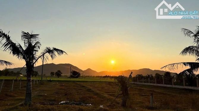 🌿 Bán gấp lô đất 2.967m² mặt tiền Tôn Thất Thuyết – trung tâm Phước Hải, chỉ 989 triệu - 2