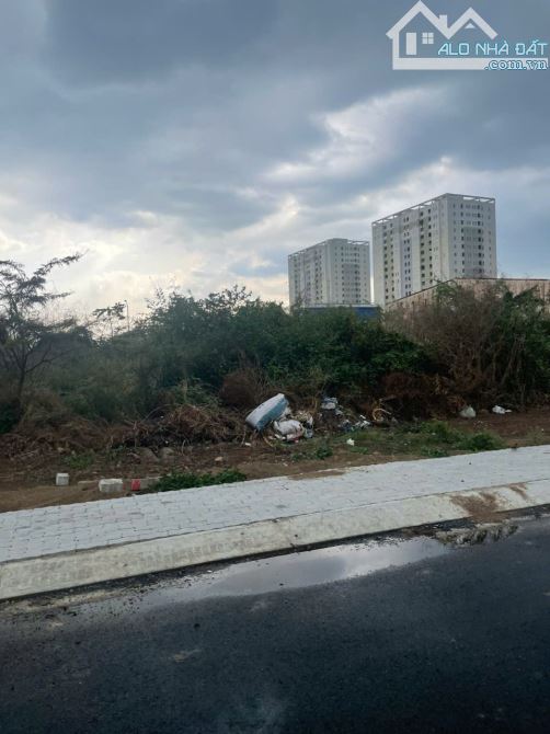 Bán đất 51x79m full thổ cư giá 140 tỷ Đường 7m Thanh Xuân 22 - 2