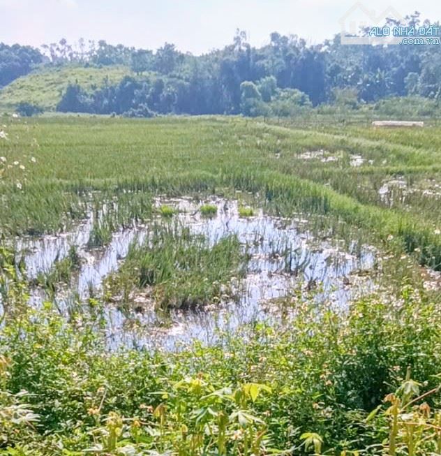 Bán đất cạnh dự án sôn golf Suối Hai, Ba Vì, 481m, view đồng, nở hậu, đg rộng, thông, 3tỷ - 2