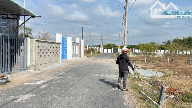 🏡 Bán lô đất Phước Hải – Đất Đỏ BRVT, 5,3x26m, 100% thổ cư, view núi Minh Đạm 🌿 - 2
