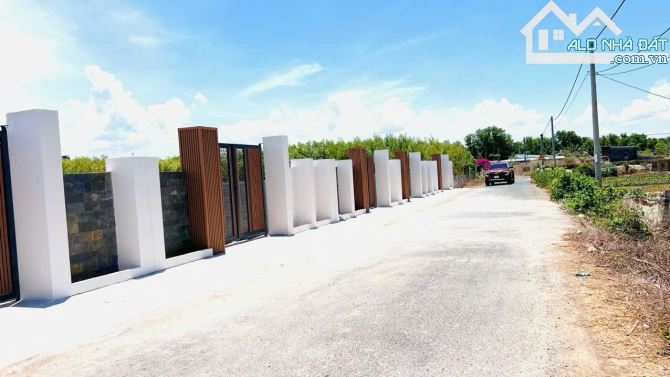 🌟 Bán gấp 2 lô đất sổ riêng TT Phước Hải – DT 216,7m² & 253m², cách biển 5 phút ⛱️ - 2