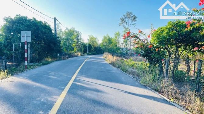🏡 Vỡ nợ cần thanh lý lô đất 601m² TT Phước Hải – BRVT, mặt tiền đường nhựa 🚗 - 2