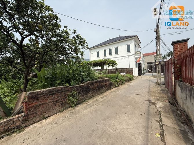108m2 Tráng Việt-Mê Linh-Hà Nội giá siêu rẻ - 2