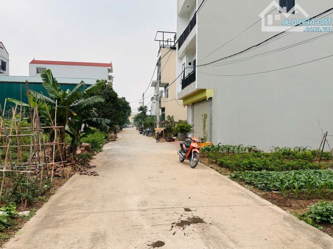 66m DV Lại Yên, đường 9m, MT = 4,4 vị trí cực đẹp, giá  13x tr/m - 2