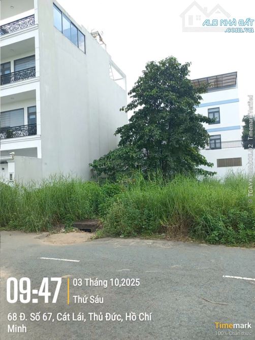 Bán Đất Thổ Cư Mặt Tiền 12m Trung Tâm Cát Lái - 2