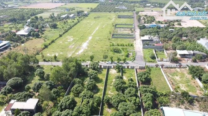 🏝️ Đất nền ven biển Phước Hải 115m² – View đẹp, pháp lý rõ ràng, giá chỉ 1,18 tỷ 🌿 - 2