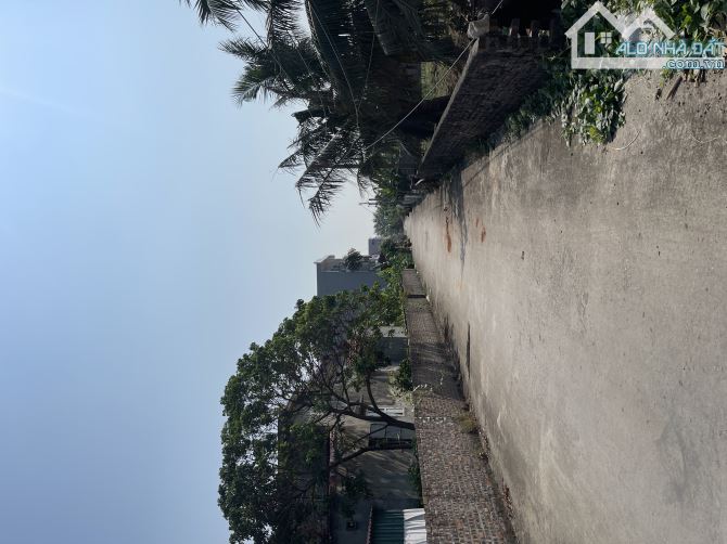 Bán đất 132 đường cát vũ , tràng cát 7 , phường hải an - 2