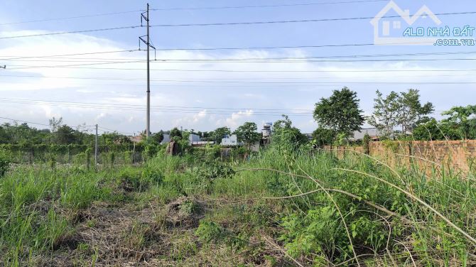 🆘 Bán đất mặt tiền đường nhựa ngay kcn bàu xéo 430m2, shr thổ cư. Xã. Tây Hoà, Trảng Bom. - 2