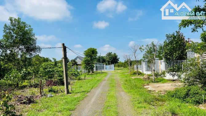🏡 Bán Đất Phước Hội – Đất Đỏ, BRVT – 1019m², Gần Biển, Giá Tốt 🌿 - 2
