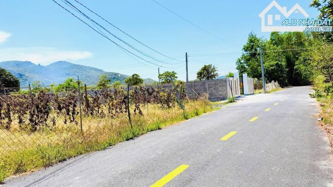 🌊 Bán đất Phước Hải 274m² view núi – gần Lan Rừng Resort, giá chỉ 2,15 tỷ 🌿🏡 - 2