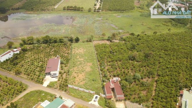 BÁN ĐẤT BIỆT THỰ NGHỈ DƯỠNG VIEW HỒ TẠI LỘC PHÁT, BẢO LỘC - 2