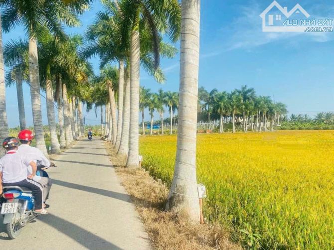 Hàng Vip, 150m2 đất thổ cư 5x 30m đường hàng cau vua, 380tr - 2