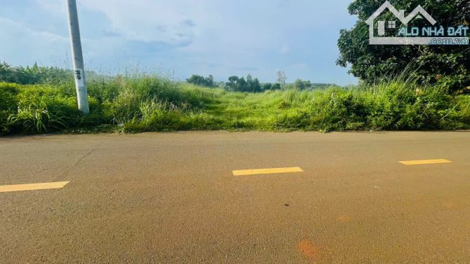 🌈 CHỦ GỬI BÁN LÔ ĐẤT MẶT TIỀN ĐƯỜNG NHỰA 8M – CMT8, TT. ĐẤT ĐỎ, BRVT - 2
