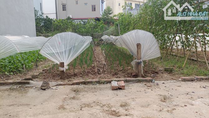 🔥 BÁN GẤP MẢNH ĐẤT XÃ THIÊN LỘC, HÀ NỘI (KIM CHUNG CŨ) 🔥 - 2