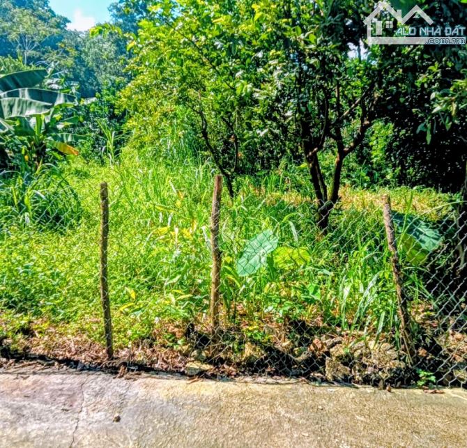Chỉ hơn 2tỷ, có ngay 625m2 đất Ba Trại, gần Hồ Suối Hai, TL 86, nở hậu, đg thông, view đẹp - 2