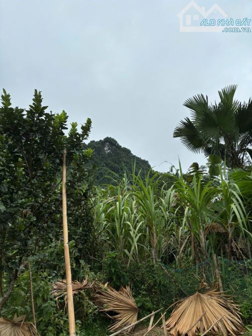 bán lô đất hiếm có tại Ngõ 1, xóm Núi – xã Minh Phú, Sóc Sơn. Diện tích: 1.540m vuong đét - 2
