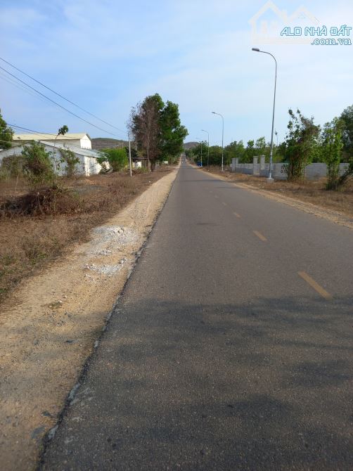 Đại Hạ Giá-Nhiều đất Sào-Mặt tiền đường 715-Mũi Né(Thiện Nghiệp)-Lâm Đồng - 2