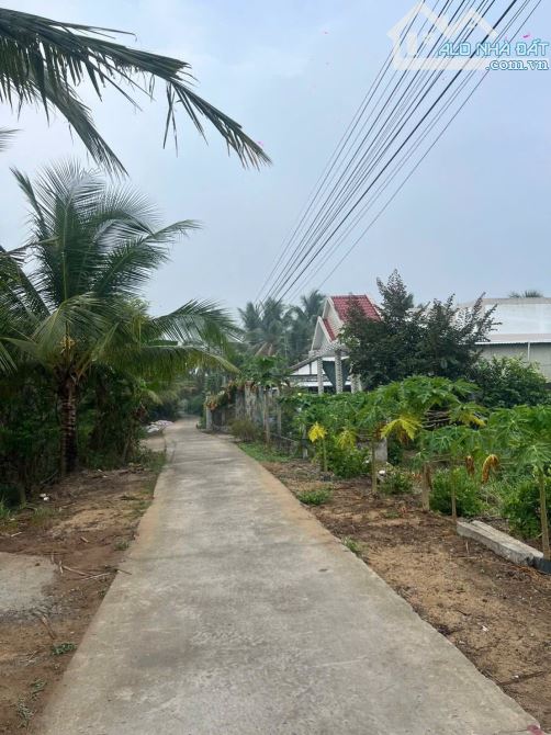 Bán 6500m2 đất vườn dừa đường oto gần 883 mới - 2