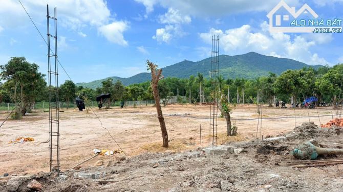 🏖️ Mặt tiền nhựa TT Phước Hải 378m² – View núi Minh Đạm, gần biển, giá 2.5 tỷ TL 🌿 - 2
