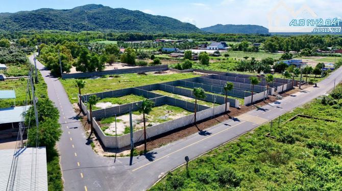 🌿 Lô đất 296,7m² xã Phước Hải – 80m² thổ cư, view núi Minh Đạm, gần biển chỉ 4km 🏖️ - 2